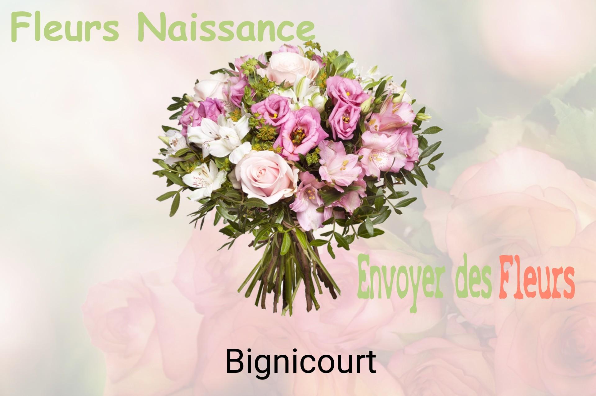 Bouquet de fleurs de naissance livré à Bignicourt