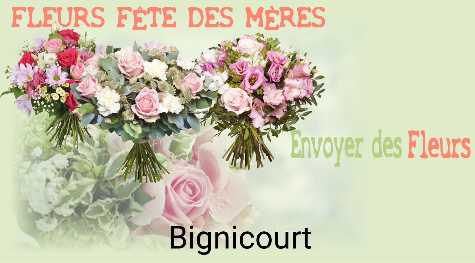 Bouquet de Fête des Mères livré à Bignicourt